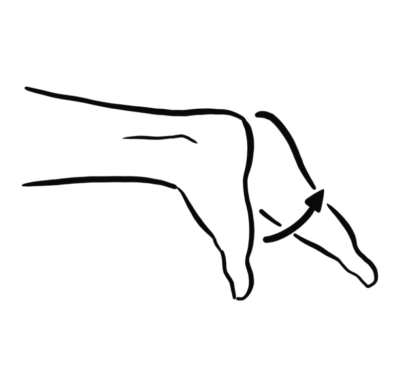 Ankle plantar flexion prone exerpedia